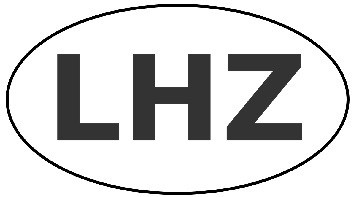 LHZ Global Holding Group Limited
